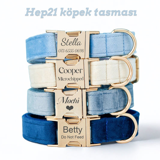 Köpek Boyun Tasması İsimli Kadife 595658