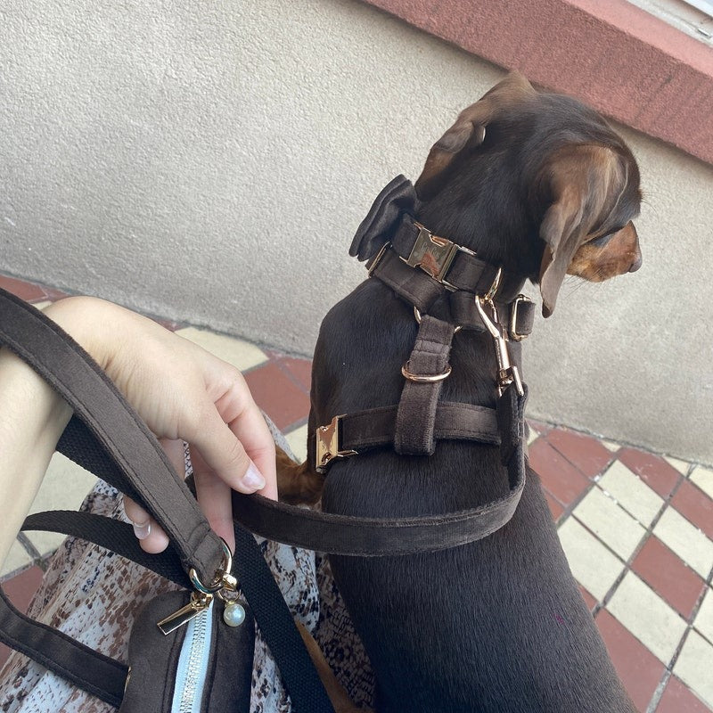 Köpek Boyun Tasması İsimli Koyu Kahve Kadife 571510