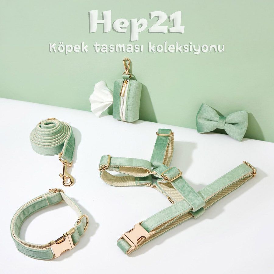 Köpek Boyun Tasması İsimli Nane Yeşil Kadife 404433