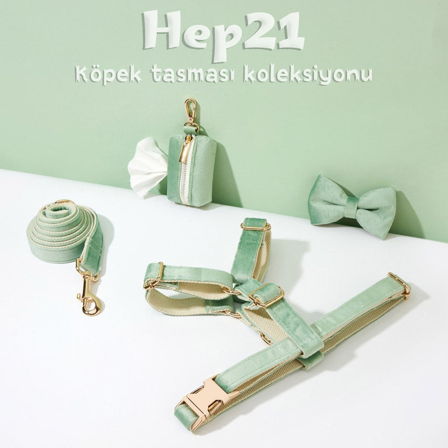 Köpek Boyun Tasması İsimli Nane Yeşil Kadife 404433
