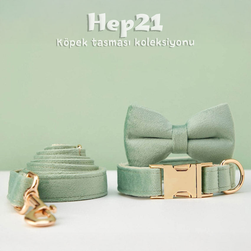 Köpek Boyun Tasması İsimli Nane Yeşil Kadife 404433