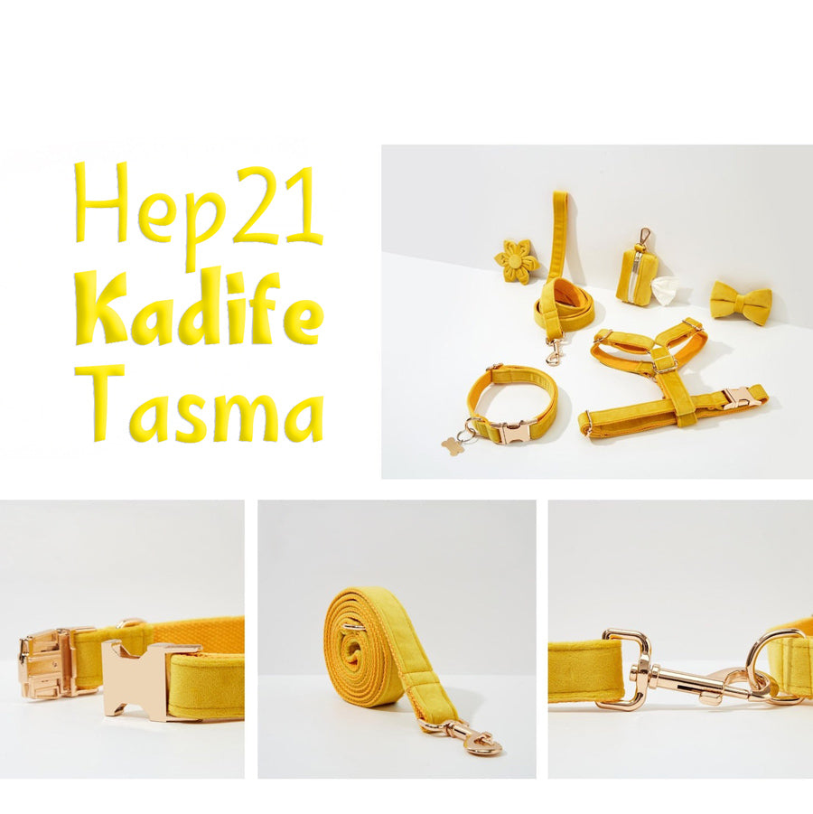 Köpek Boyun Tasması İsimli Sarı Kadife 141086