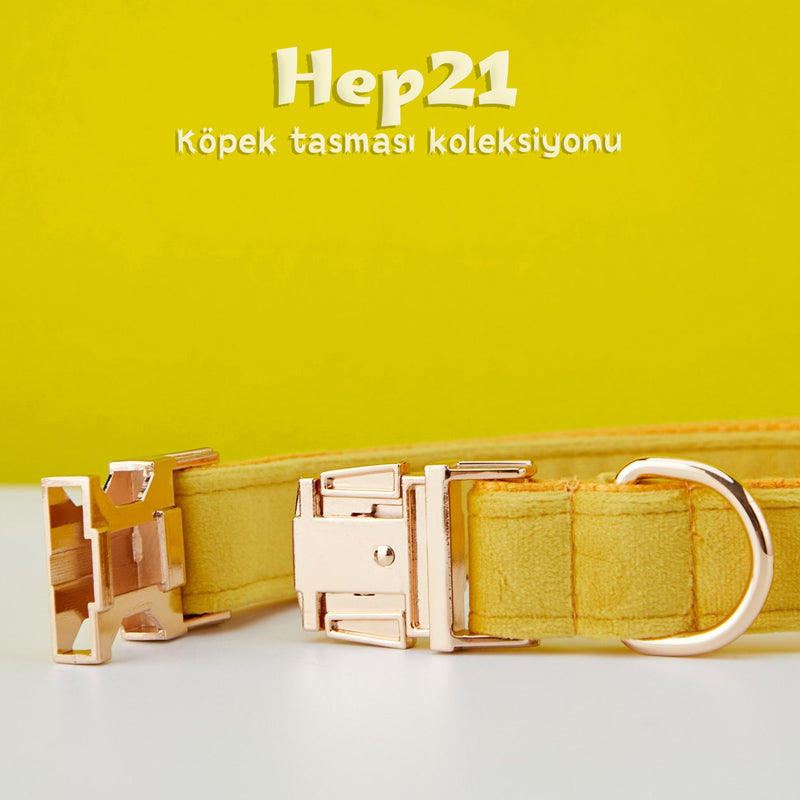 Köpek Boyun Tasması İsimli Sarı Kadife 141086