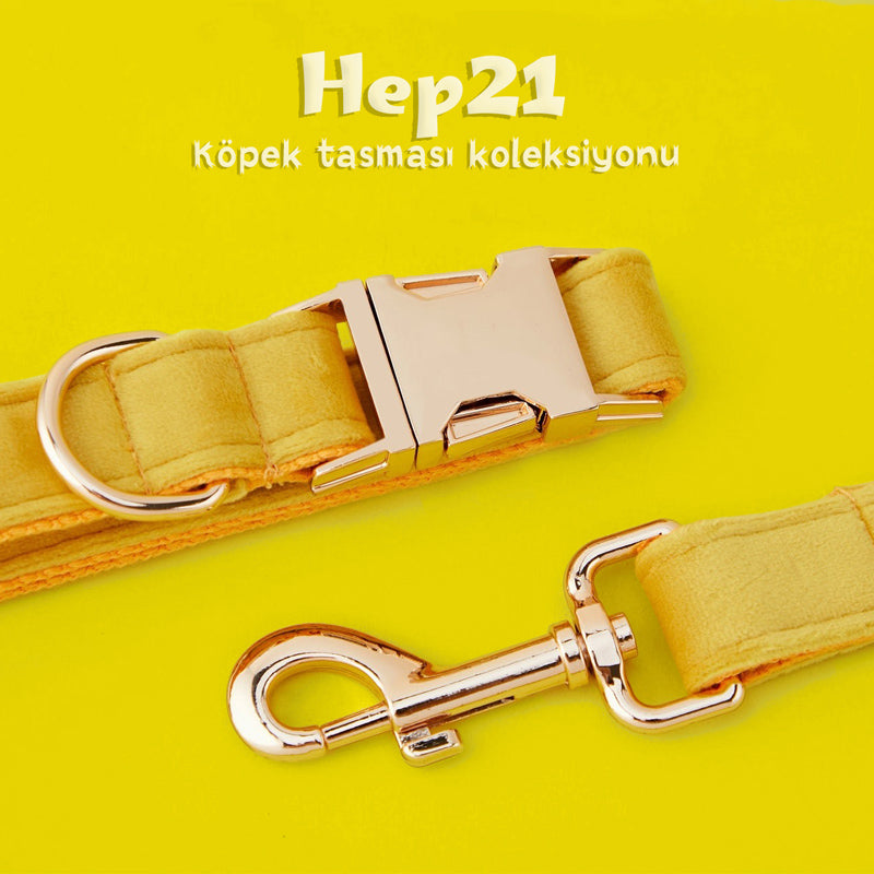 Köpek Boyun Tasması İsimli Sarı Kadife 141086