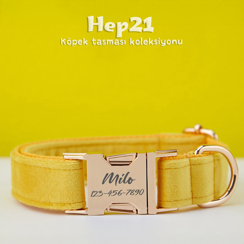 Köpek Boyun Tasması İsimli Sarı Kadife 141086