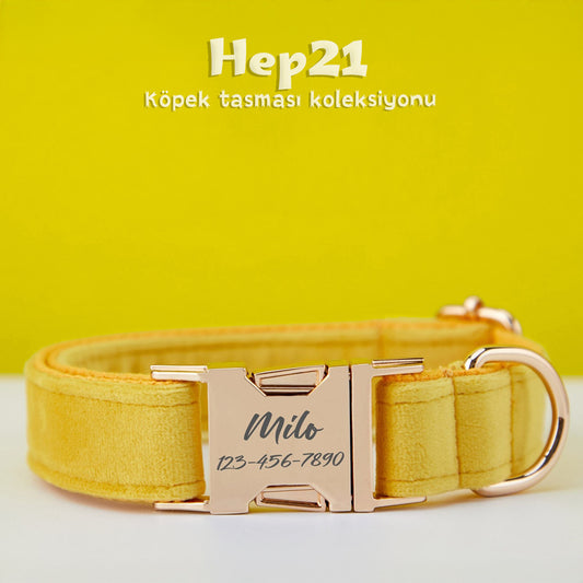 Köpek Boyun Tasması İsimli Sarı Kadife 141086