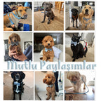 Köpek Boyun Tasması İsimli Soluk Mavi Kadife 671782