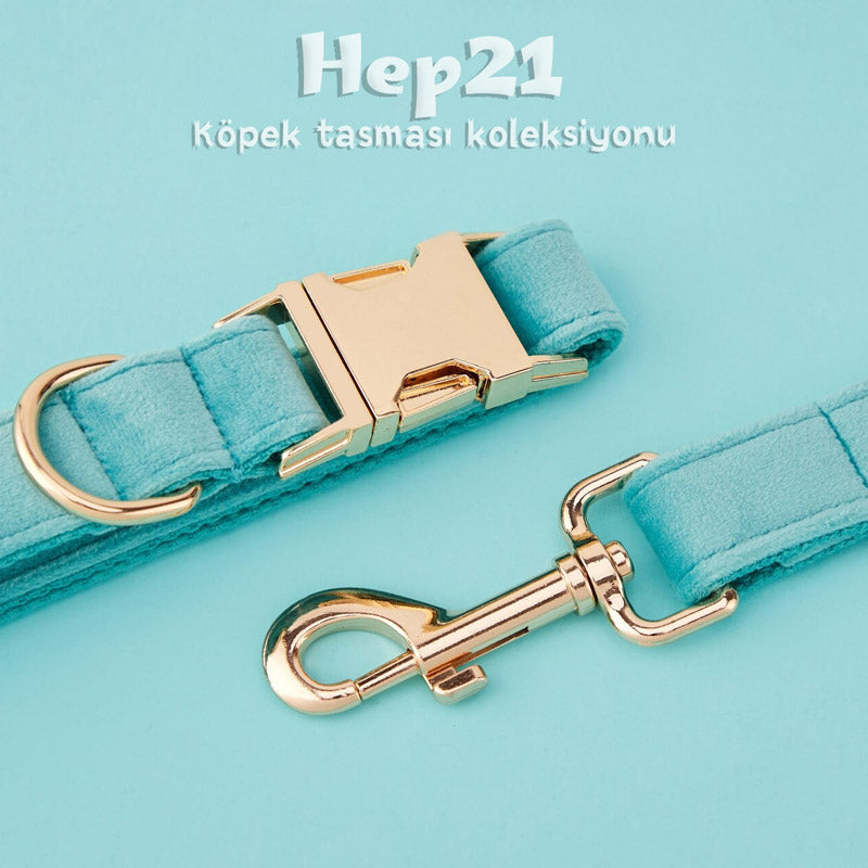 Köpek Boyun Tasması İsimli Turkuaz Kadife Boyun Tasması 424763