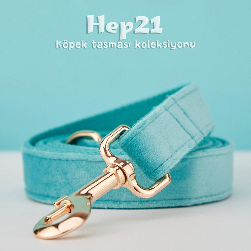 Köpek Boyun Tasması İsimli Turkuaz Kadife Boyun Tasması 424763