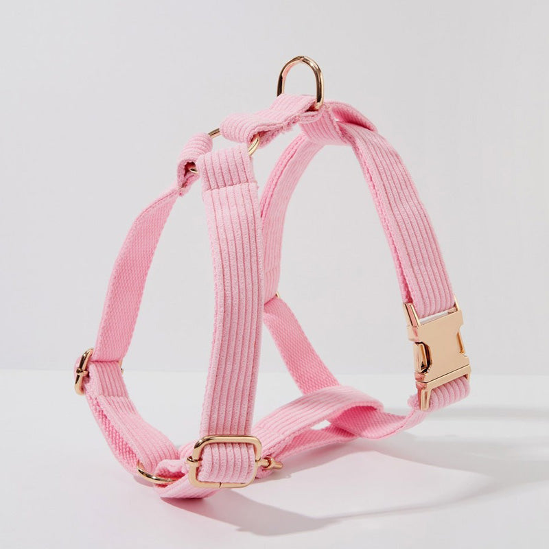 Köpek Boyun Tasması İsimli Pembe Kadife 006529