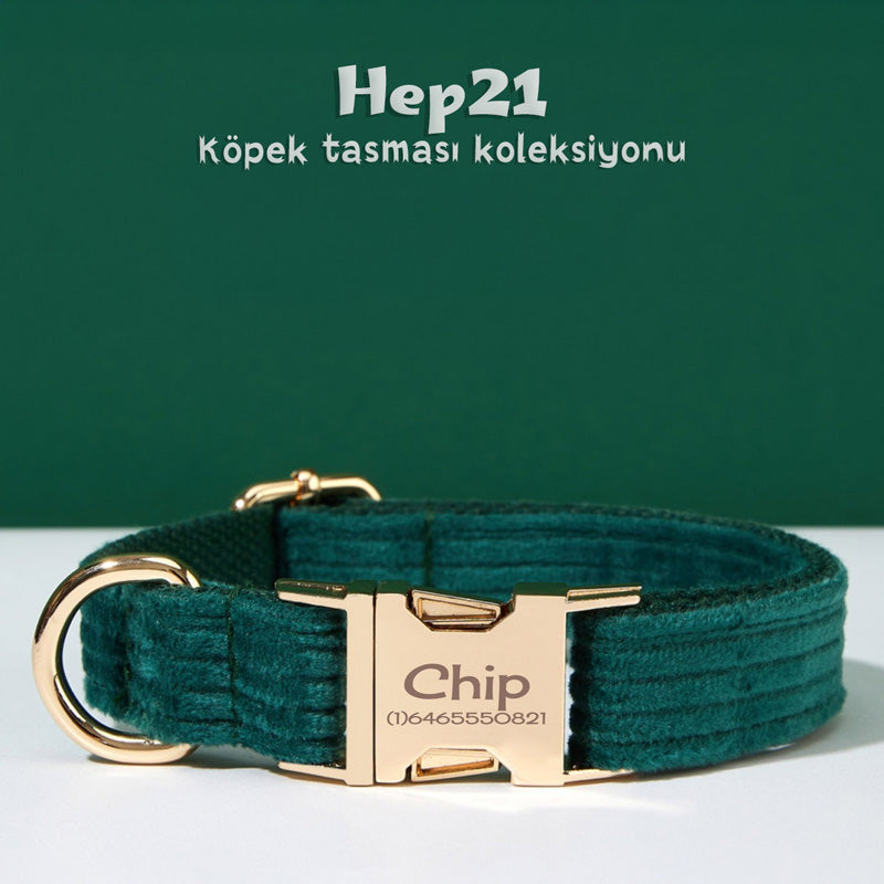 Köpek Boyun Tasması İsimli Orman Yeşil Fitilli Kadife 020480