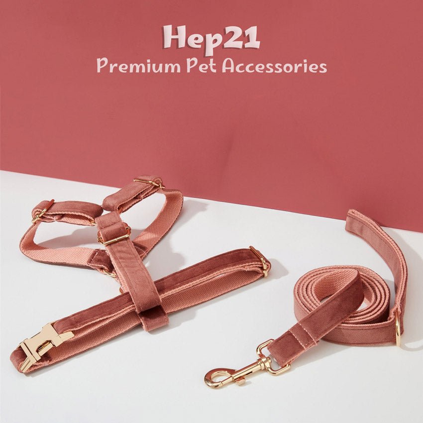 Köpek Boyun Tasması İsimli Arizona Kadife 52676