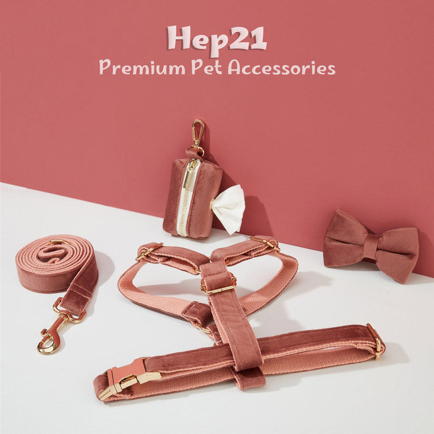 Köpek Boyun Tasması İsimli Arizona Kadife 52676