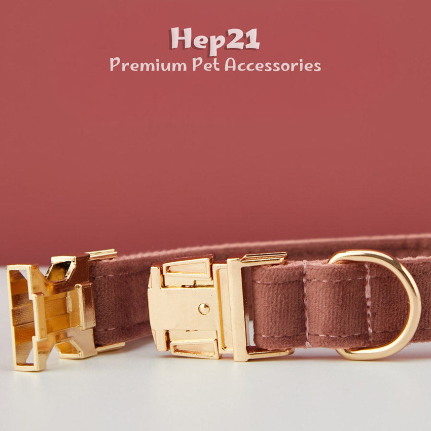 Köpek Boyun Tasması İsimli Arizona Kadife 52676