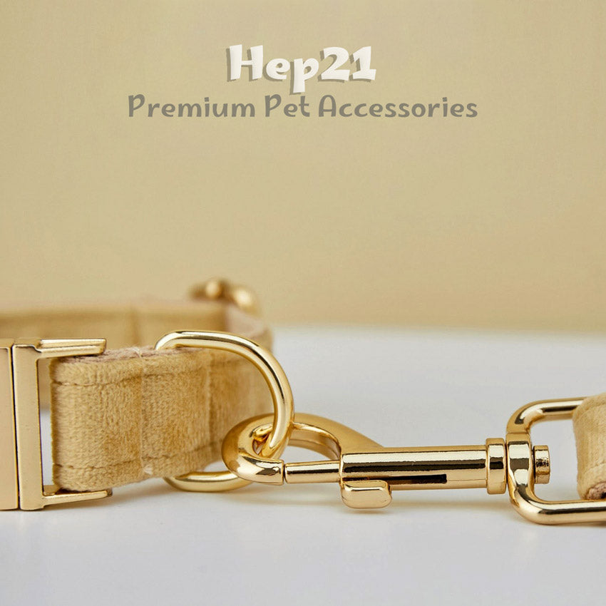 Köpek Boyun Tasması İsimli Bej 97084