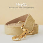 Köpek Boyun Tasması İsimli Bej 97084