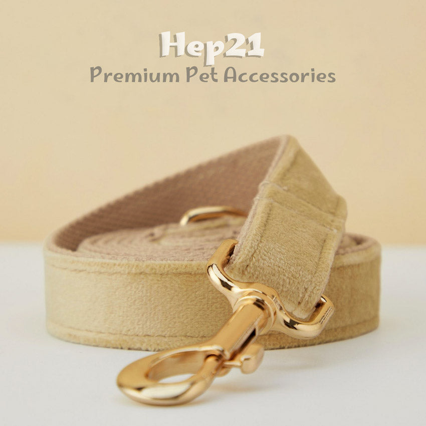 Köpek Boyun Tasması İsimli Bej 97084