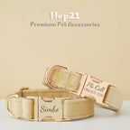 Köpek Boyun Tasması İsimli Bej 97084