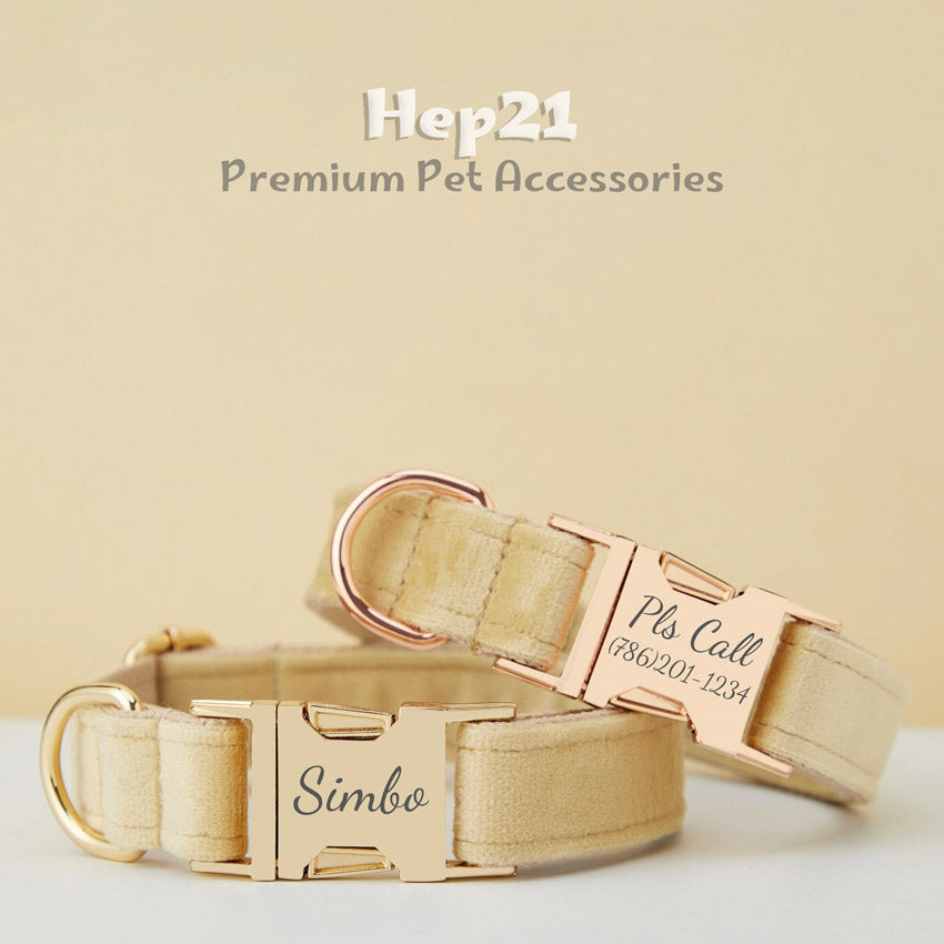 Köpek Boyun Tasması İsimli Bej 97084