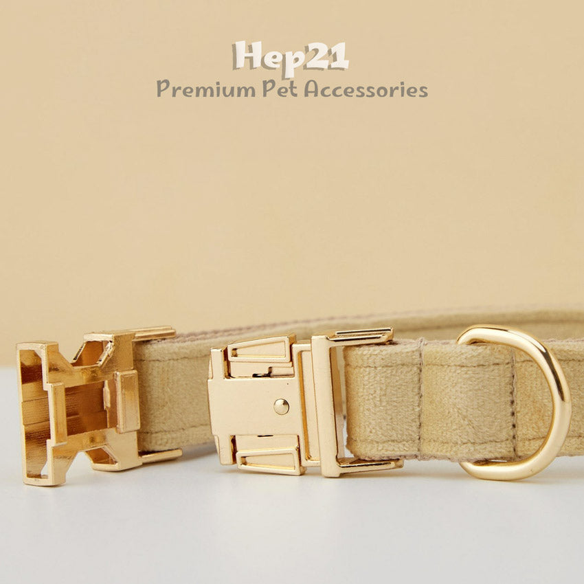 Köpek Boyun Tasması İsimli Bej 97084
