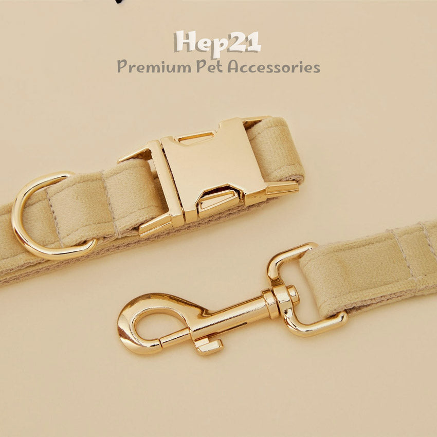 Köpek Boyun Tasması İsimli Bej 97084