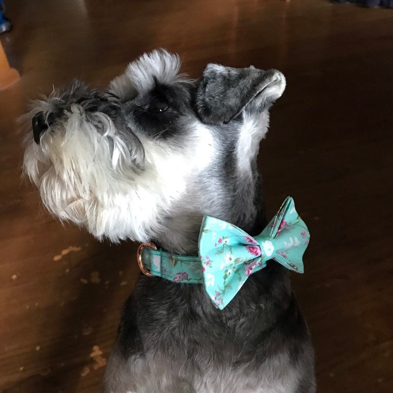 Köpek Boyun Tasması İsimli Çiçek desenli 703954