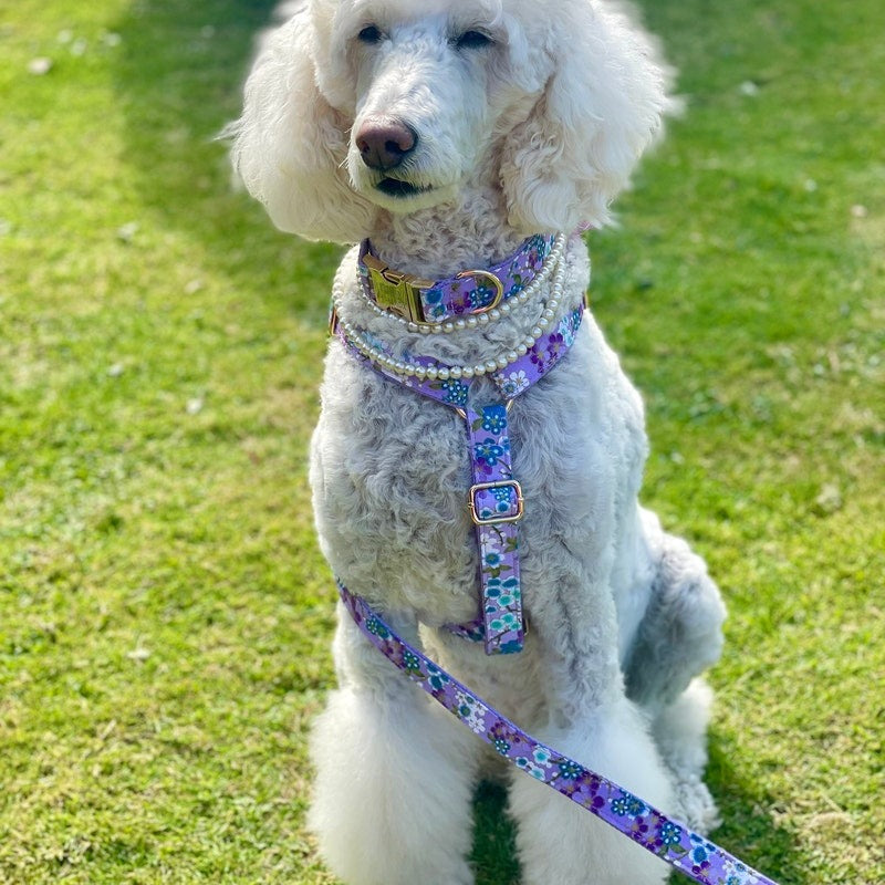 Köpek Boyun Tasması İsimli Çiçek Desenli 53644