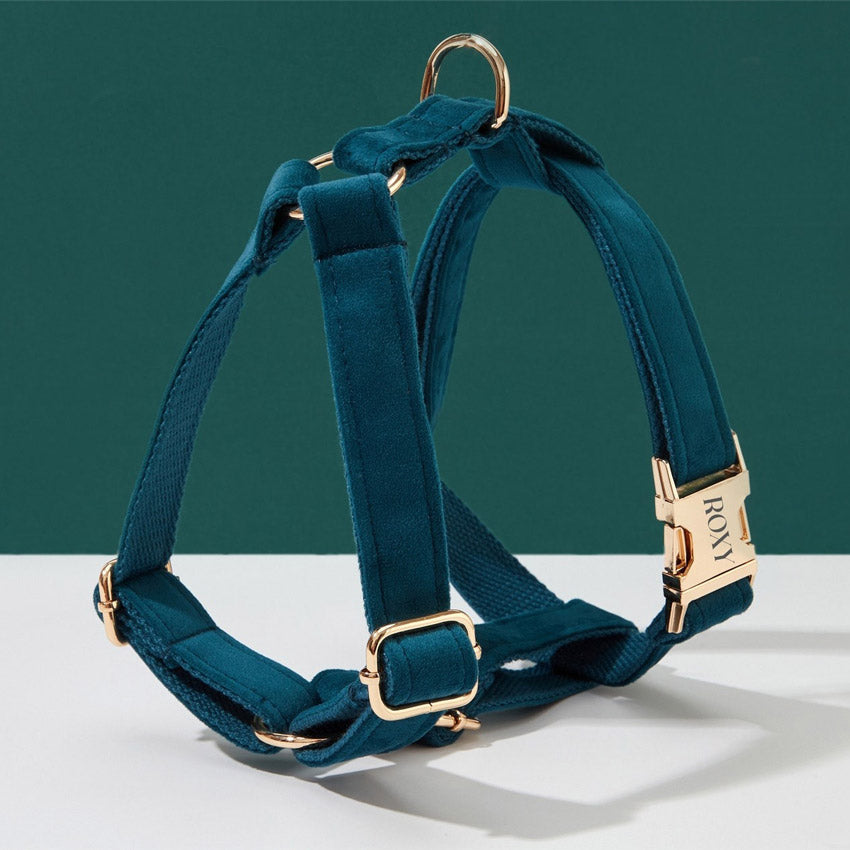 Köpek Boyun Tasması İsimli Emerald Yeşil Kadife 172182