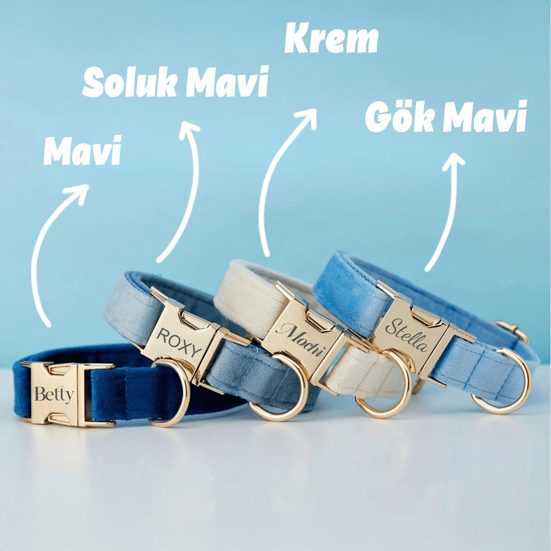 Köpek Boyun Tasması İsimli Kadife Tasma 595658