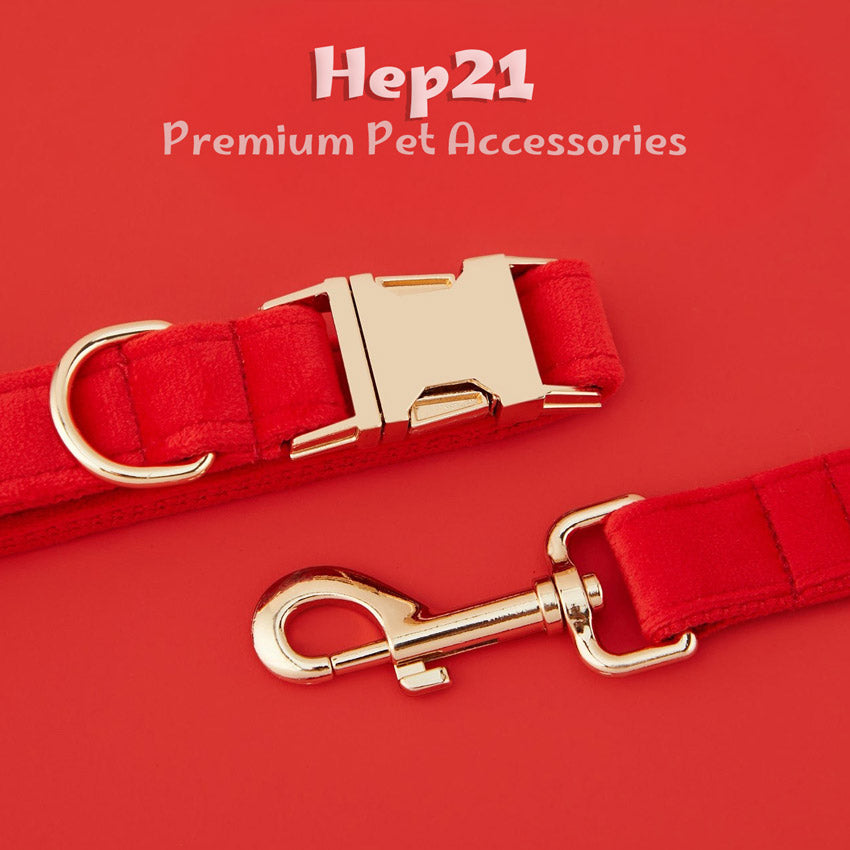 Köpek Boyun Tasması İsimli Kırmızı Kadife 470184