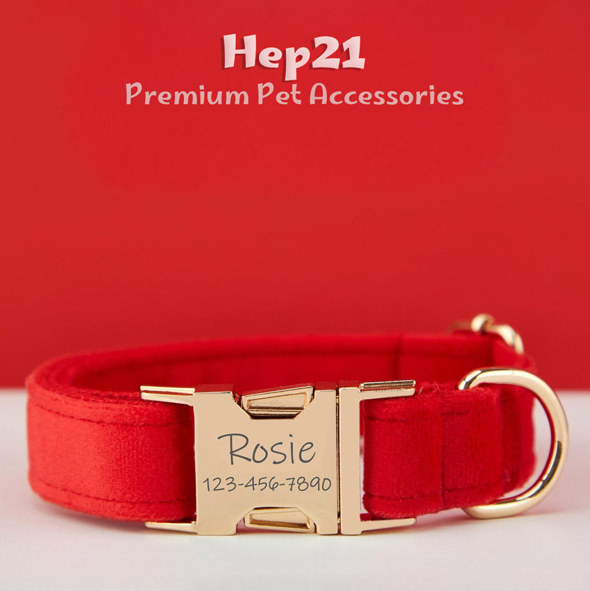 Köpek Boyun Tasması İsimli Kırmızı Kadife 470184