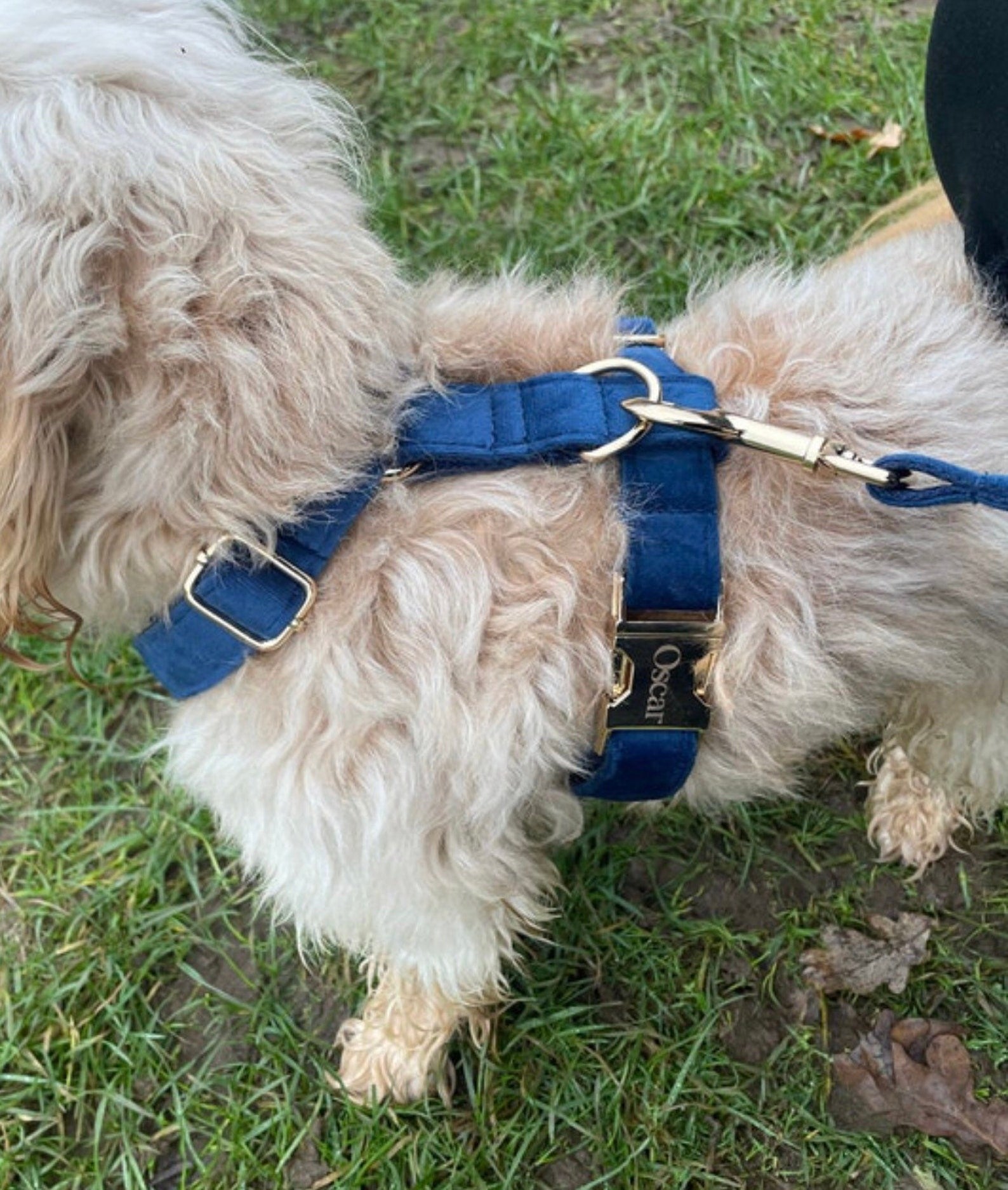Köpek Boyun Tasması İsimli Lacivert Kadife 146814