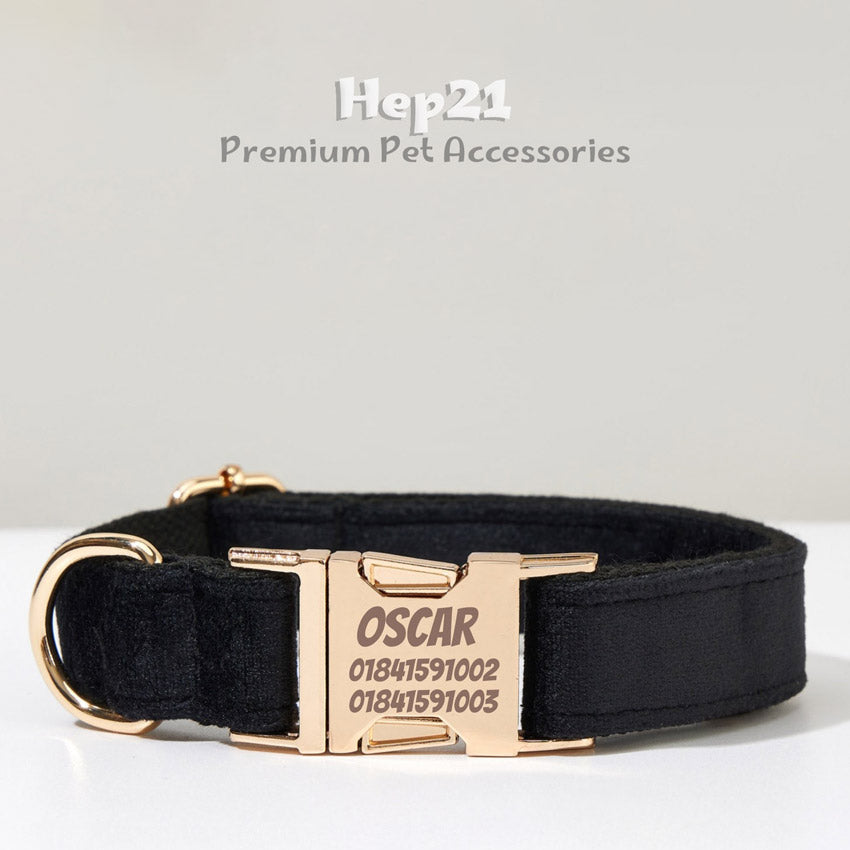 Köpek Boyun Tasması İsimli Siyah Kadife 168489