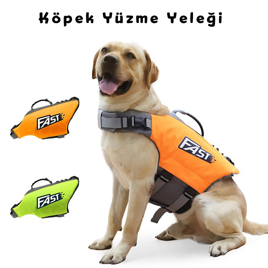Köpek Can Yeleği Parlak Renkli Köpek Yüzme Yeleği 59562686