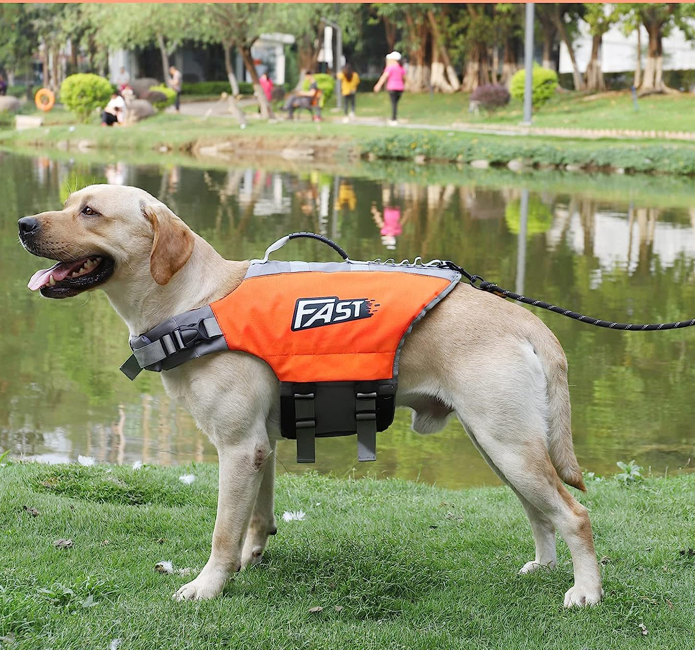 Köpek Can Yeleği Parlak Renkli Köpek Yüzme Yeleği 59562686