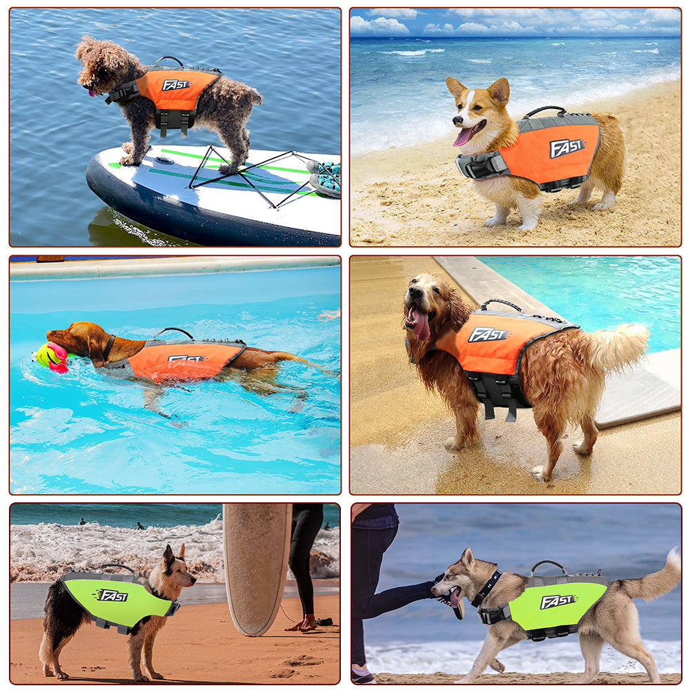 Köpek Can Yeleği Parlak Renkli Köpek Yüzme Yeleği 59562686