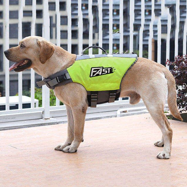 Köpek Can Yeleği Parlak Renkli Köpek Yüzme Yeleği 59562686