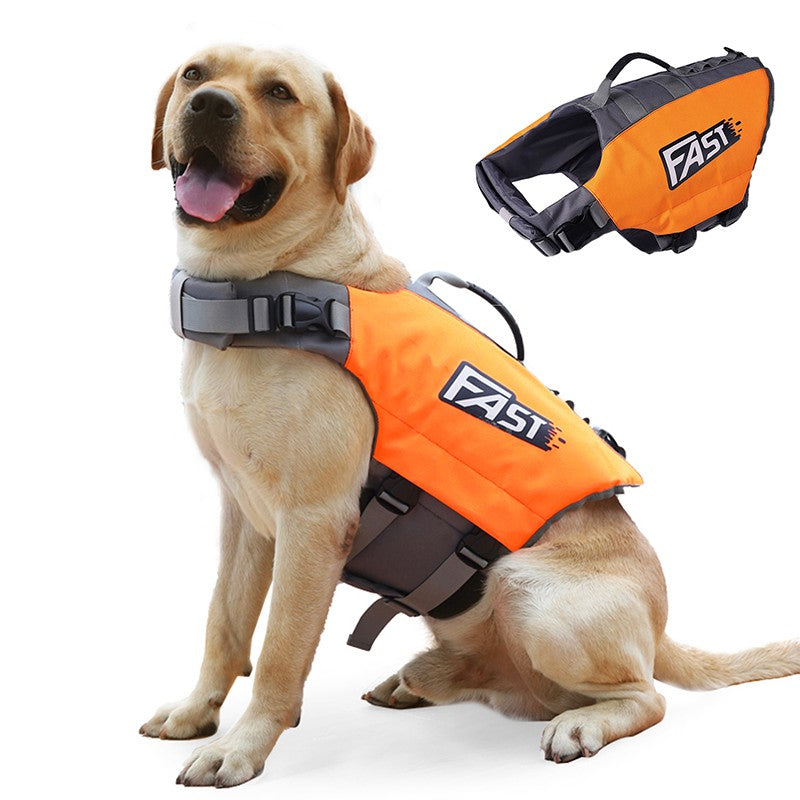 Köpek Can Yeleği Parlak Renkli Köpek Yüzme Yeleği 