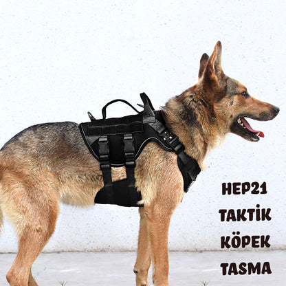 Köpek Göğüs Tasması K9 Tasarım