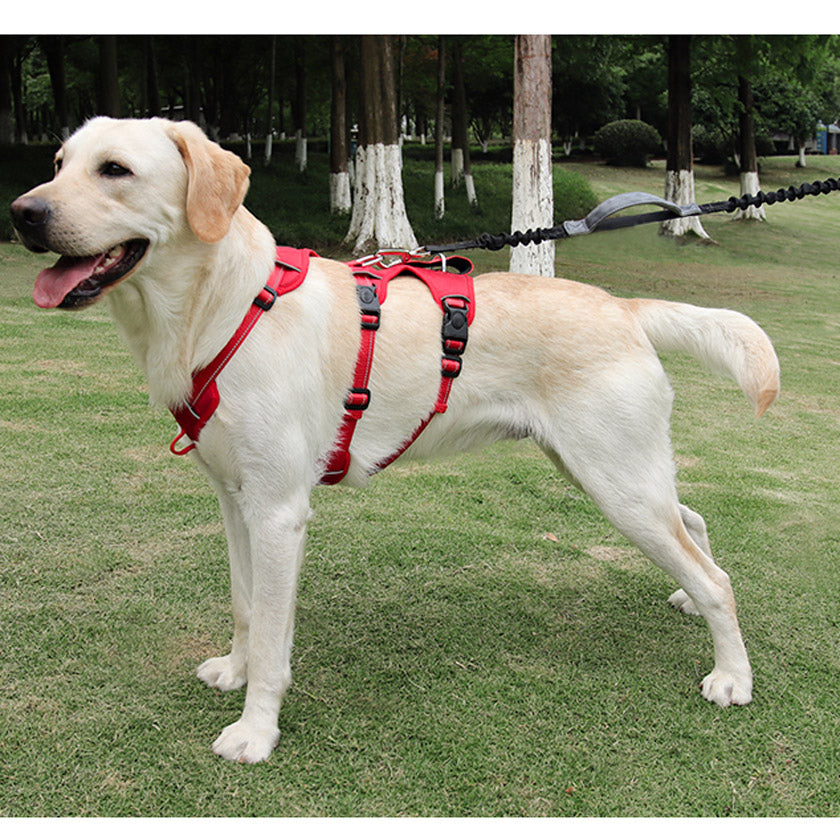 Köpek Göğüs Tasması Yansıtıcı Güçlü Kontrol Taktik Gövde Tasması 44073950
