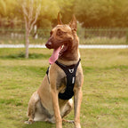 Köpek Göğüs Tasması Yansıtıcı Yastıklı 799230