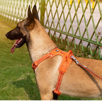 Köpek Göğüs Tasması Yansıtıcı Yastıklı 