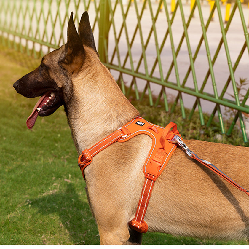 Köpek Göğüs Tasması Yansıtıcı Yastıklı 