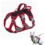 Köpek Göğüs Yansıtıcı Belden Tasma 800659