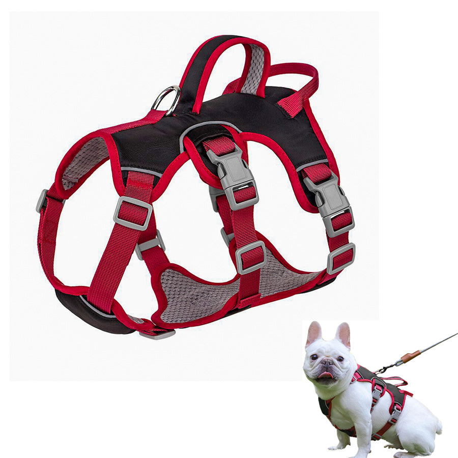 Köpek Göğüs Yansıtıcı Belden Tasma 800659
