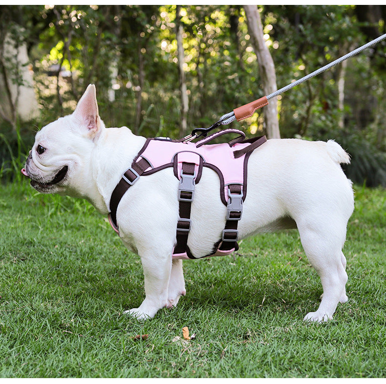 Köpek Göğüs Yansıtıcı Belden Tasma
