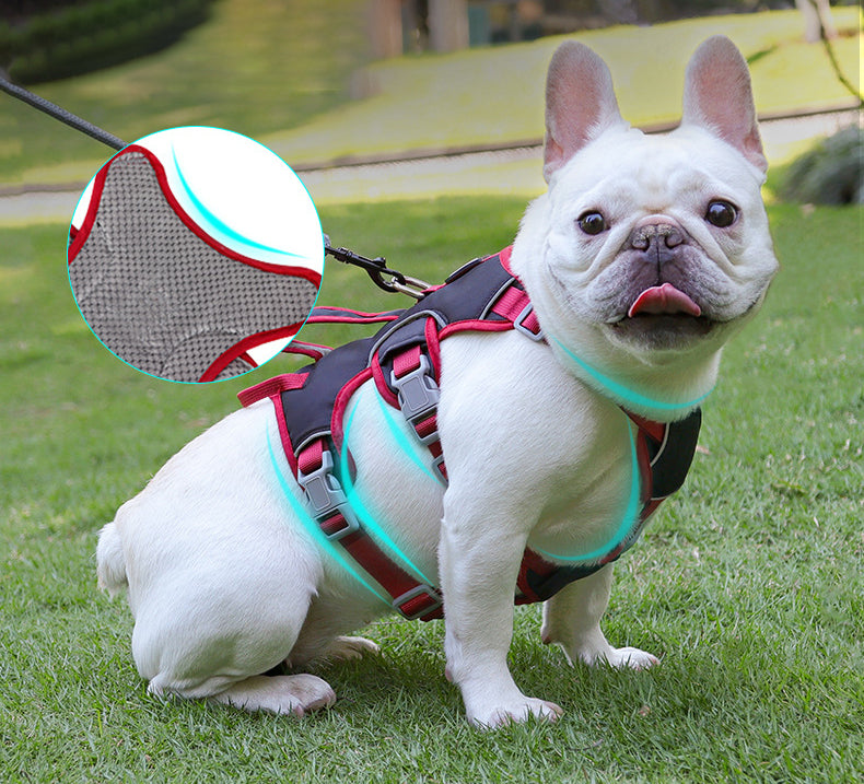 Köpek Göğüs Yansıtıcı Belden Tasma 800659