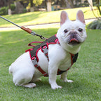 Köpek Göğüs Yansıtıcı Belden Tasma 800659