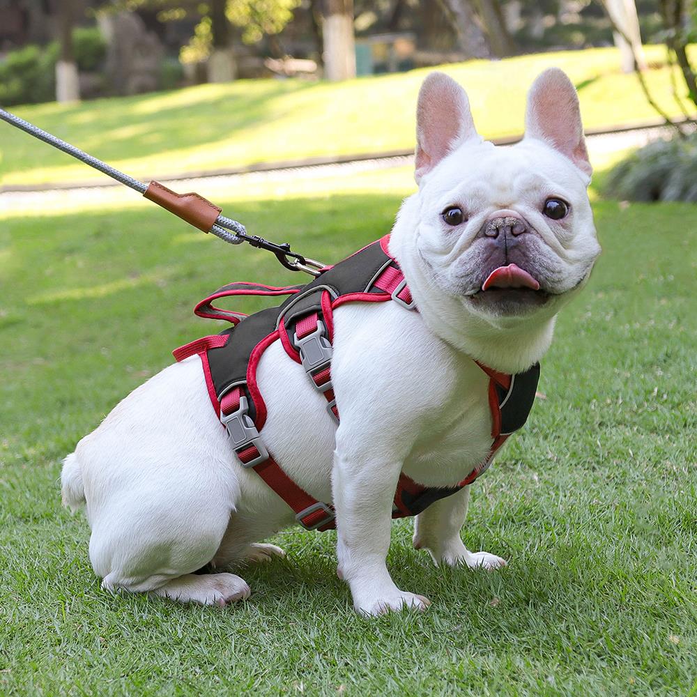 Köpek Göğüs Yansıtıcı Belden Tasma 800659