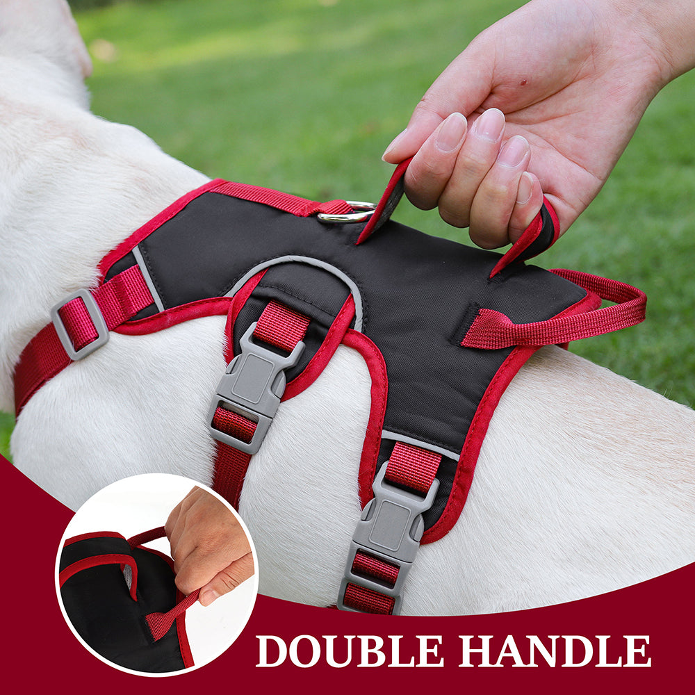 Köpek Göğüs Yansıtıcı Belden Tasma 800659